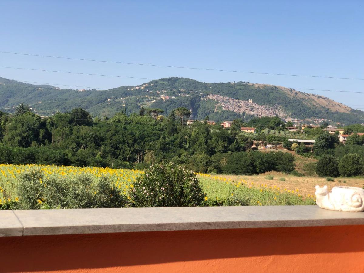 Dreams Valley Valmontone Zewnętrze zdjęcie