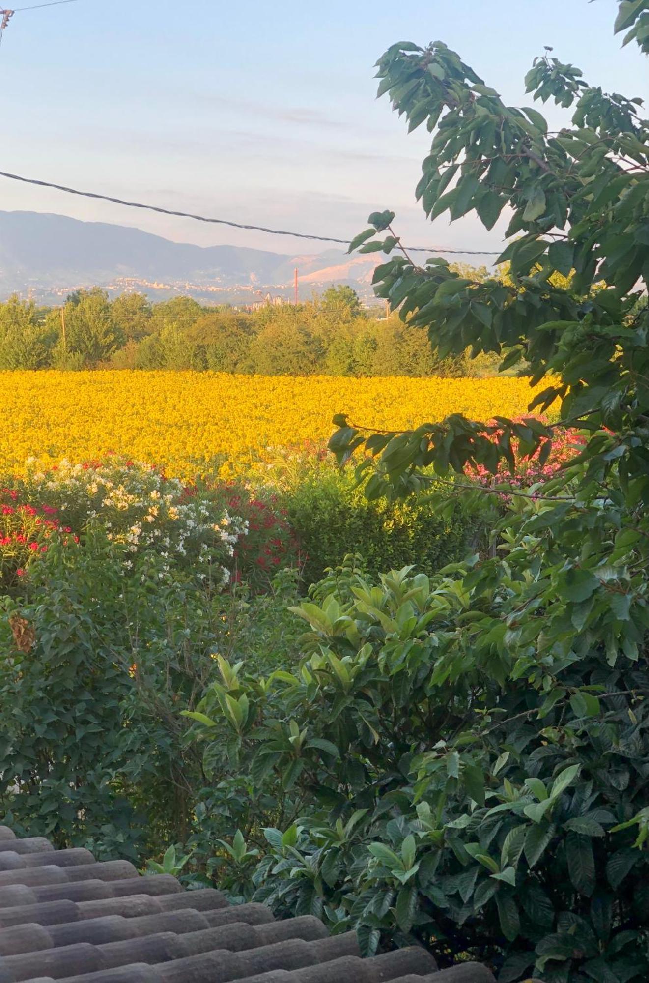 Dreams Valley Valmontone Zewnętrze zdjęcie