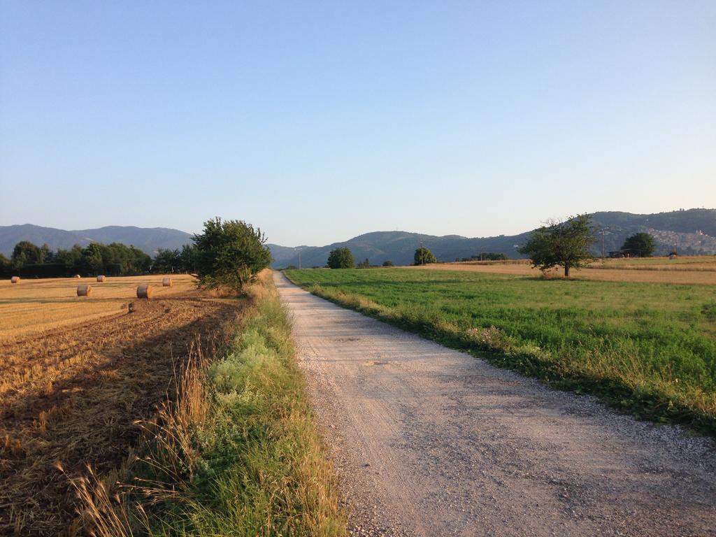 Dreams Valley Valmontone Zewnętrze zdjęcie